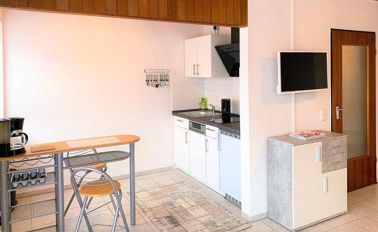 Bodensee Apartments Friedrichshafen Schnetzenhausen מראה חיצוני תמונה