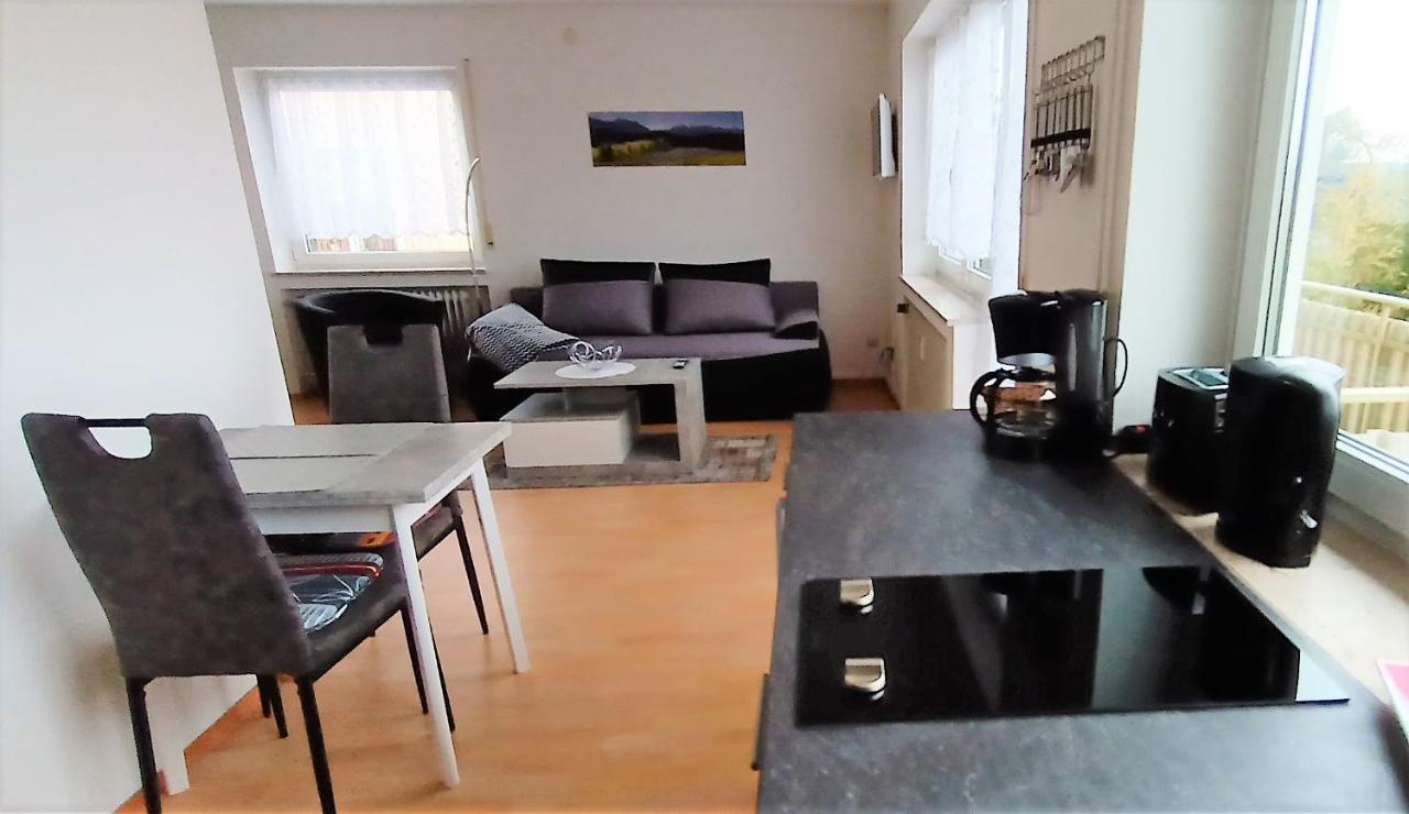 Bodensee Apartments Friedrichshafen Schnetzenhausen מראה חיצוני תמונה