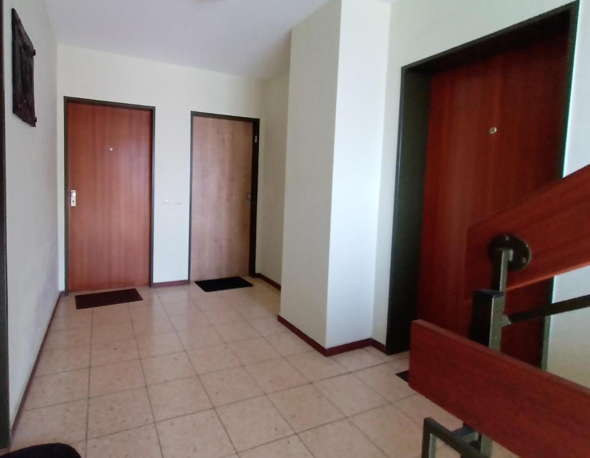 Bodensee Apartments Friedrichshafen Schnetzenhausen מראה חיצוני תמונה